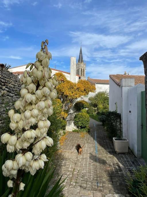 Maison De Charme A La Couarde-Sur-Mer Extérieur photo